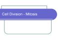 Cell Division - Mitosis PowerPoint PPT Presentation