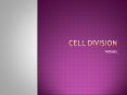 Cell Division PowerPoint PPT Presentation