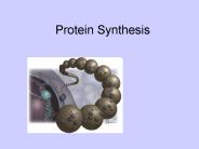 Protein Synthesis