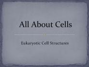 Eukaryotic Cell Structures