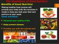 The Importance of Good Nutrition PowerPoint PPT Presentation
