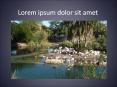 Lorem ipsum dolor sit amet PowerPoint PPT Presentation