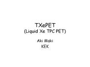 TXePET (Liquid Xe TPC PET)