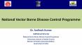 National Vector Borne Disease Control Programme PowerPoint PPT Presentation