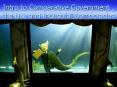 Intro to Comparative Government , the UN, and Industrial Democracies PowerPoint PPT Presentation