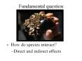 Fundamental question PowerPoint PPT Presentation