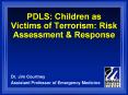 PDLS: Children as Victims of Terrorism: Risk Assessment PowerPoint PPT Presentation