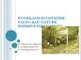 WOODLAND ECOSYSTEM - TAI PO KAU NATURE RESERVE FIELD STUDY PowerPoint PPT Presentation