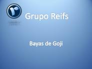 Grupo Reifs | Bayas de Goji