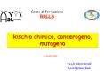 Corso di formazione RRLLS PowerPoint PPT Presentation