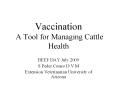 Vaccination A Tool for Managing Cattle Health PowerPoint PPT Presentation