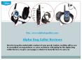 Alpha Dog Collar Reviews PowerPoint PPT Presentation