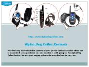 Alpha Dog Collar Reviews