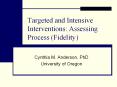 Targeted and Intensive Interventions: Assessing Process (Fidelity) PowerPoint PPT Presentation