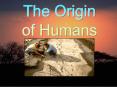 The Origin of Humans PowerPoint PPT Presentation
