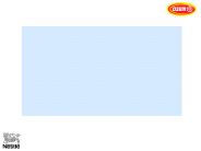 Osem Group:  Board of Directors Meeting