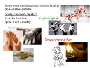 Part 2: Dr. Steve I. Perlmutter