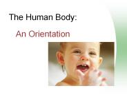 The Human Body: