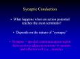 Synaptic Conduction PowerPoint PPT Presentation