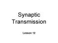 Synaptic Transmission PowerPoint PPT Presentation