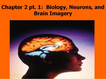 Chapter 2 pt. 1: Biology, Neurons, and Brain Imagery