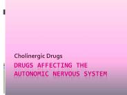 Drugs%20Affecting%20the%20Autonomic%20Nervous%20System