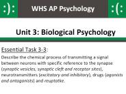 Unit 3: Biological Psychology