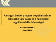 A magyar Leader program v