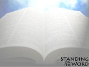 How did our Bible come to be?