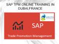sap tpm online training in dubai,france PowerPoint PPT Presentation