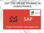 sap tpm online training in dubai,france