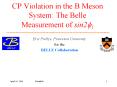 CP Violation in the B Meson System: The Belle Measurement of sin2?1 PowerPoint PPT Presentation