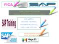 SAP FICA ONLINE TRAINING IN JAPAN,RUSSIA,LONDON PowerPoint PPT Presentation