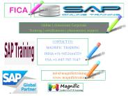 SAP FICA ONLINE TRAINING IN JAPAN,RUSSIA,LONDON