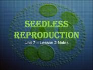 Seedless%20Reproduction