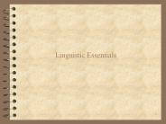 Csci 4152: Statistical Natural Language Procesing