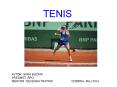 TENIS PowerPoint PPT Presentation