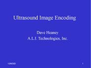 Ultrasound Image Encoding