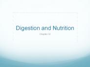 Digestion and Nutrition