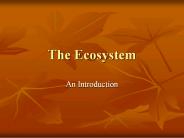 The Ecosystem