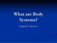 What are Body Systems?