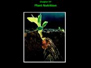 Wednesday, September 5