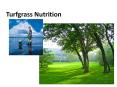 Turfgrass Nutrition PowerPoint PPT Presentation