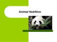 Animal Nutrition PowerPoint PPT Presentation