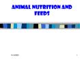 Animal Nutrition and Feeds PowerPoint PPT Presentation