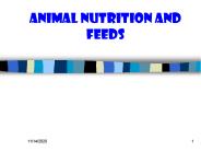 Animal Nutrition and Feeds