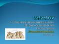 FeLV si FIV PowerPoint PPT Presentation