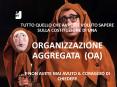 TUTTO QUELLO CHE AVRESTE VOLUTO SAPERE SULLA COSTITUZIONE DI UNA ORGANIZZAZIONE AGGREGATA E NON AVETE MAI AVUTO IL CORAGGIO DI CHIEDERE PowerPoint PPT Presentation