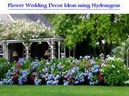 Flower Wedding Decor Ideas using Hydrangeas