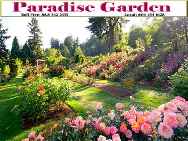 flower shop vancouver